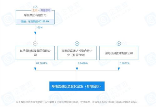 上市公司在海南 工業(yè)硅供應新格局與東岳硅材的戰(zhàn)略合作